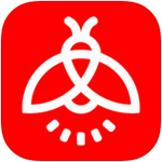 鼓浪屿为什么没人去了？本地人说出4个现实原因，太扎心了