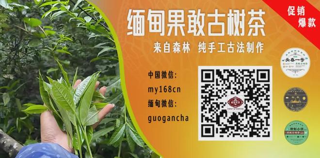 卡林顿恶犯驱逐引热议：戳眼克拉克旧视频超百万观看，被称最脏球员