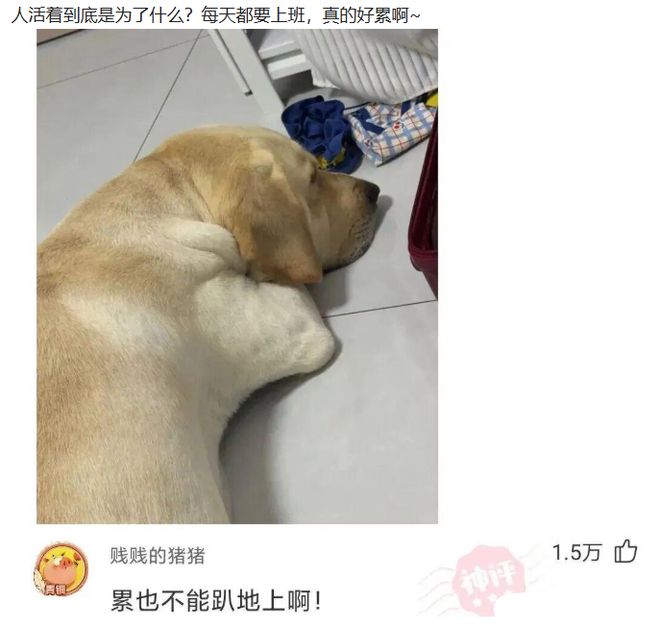 丽江市足球协会完成换届,王曙当选新一届主席