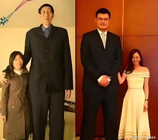 胜荷兰发布会!郭士强亲承杨瀚森发挥一般,并回应日本大名单!
