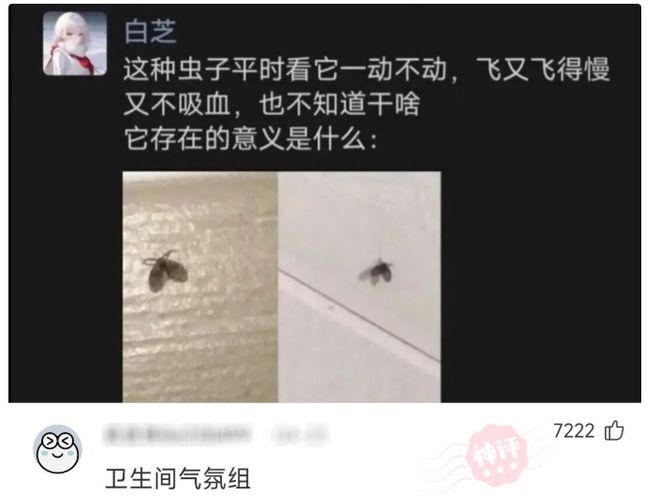 丽江市足球协会完成换届,王曙当选新一届主席